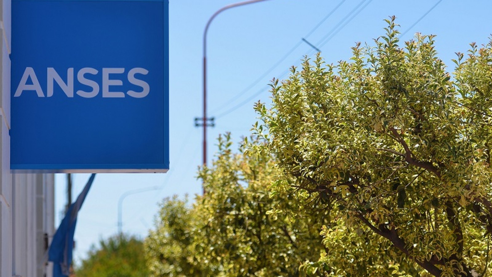 ANSES: Calendario de pagos de hoy lunes